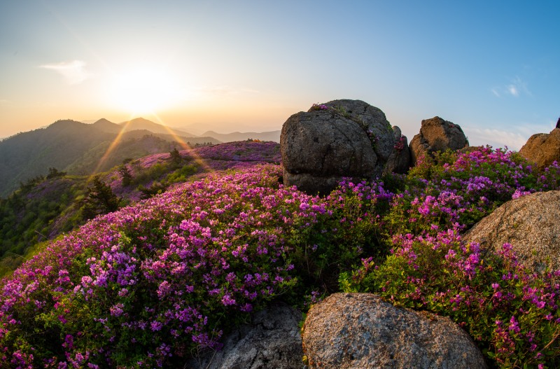 초암산