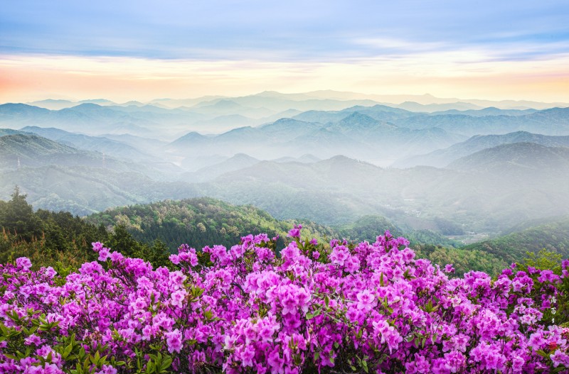 고동산