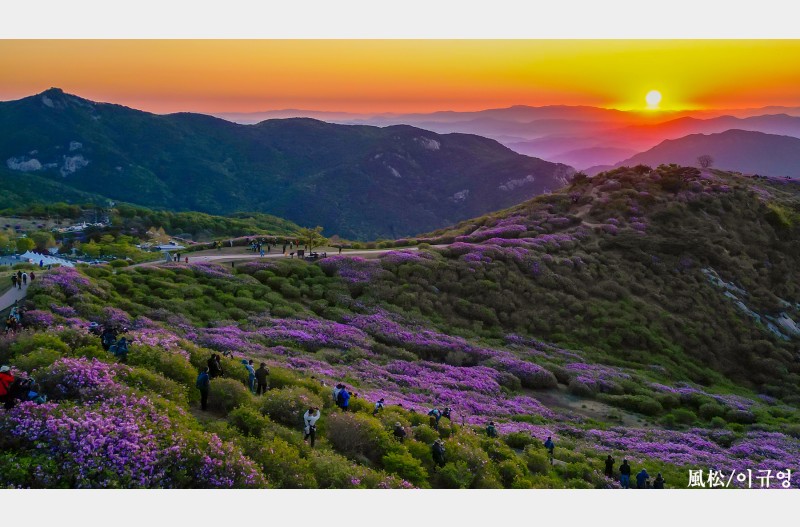 황매산