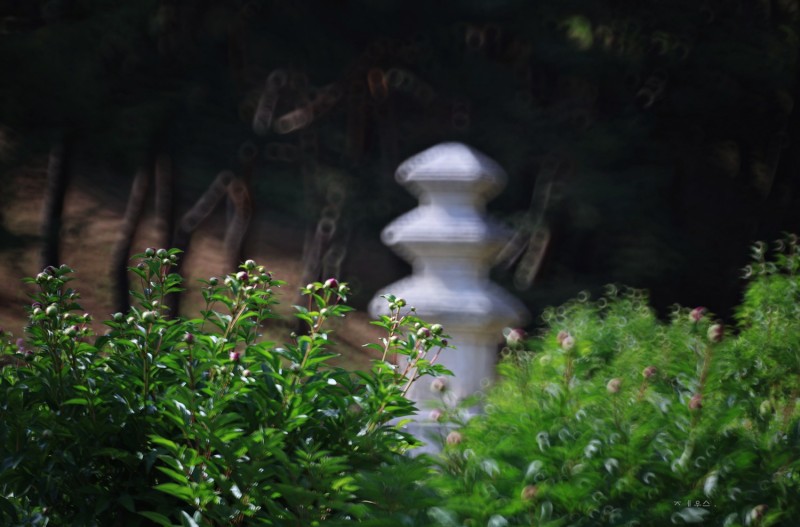 세상구경