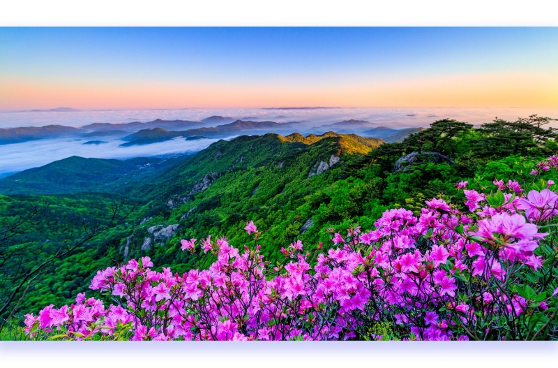 화려한 날은 가고