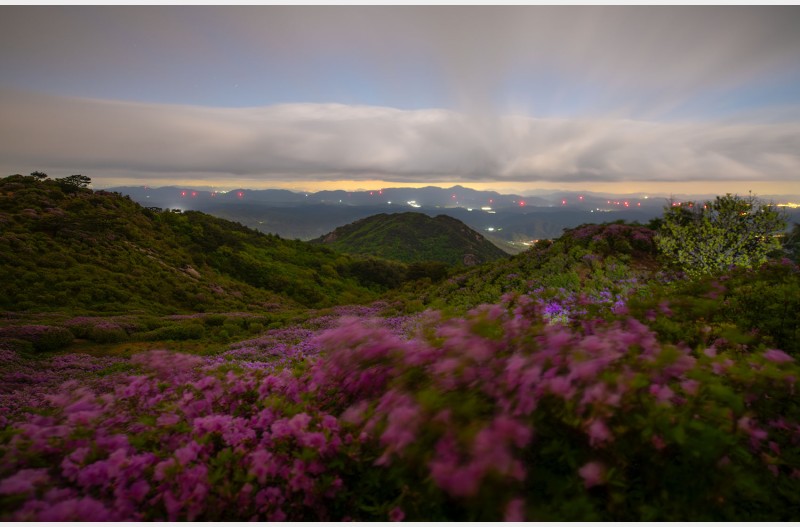 새벽 산정