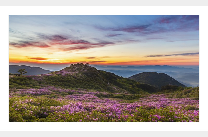 황매산