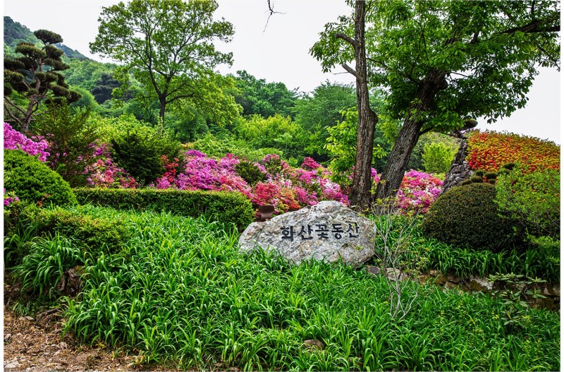 화산꽃동산