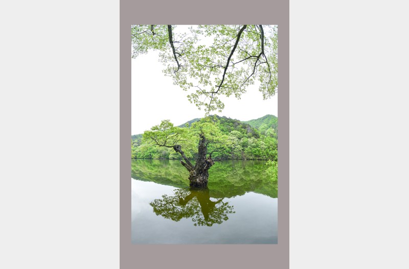 주산지