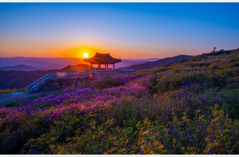 산정의 노을