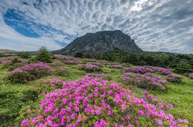 월간 산 6월호 '이달의 산악사진'