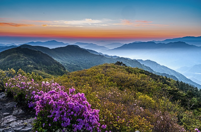고리봉