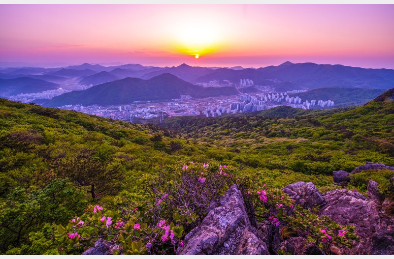 산정의 봄