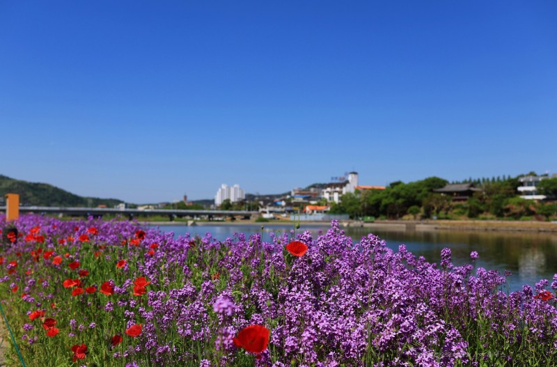 보라세상