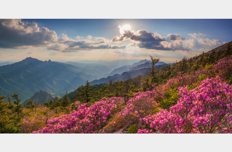 안산이  보이는,,,