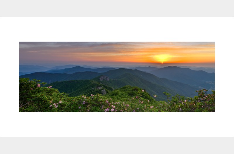 가지산 철쭉