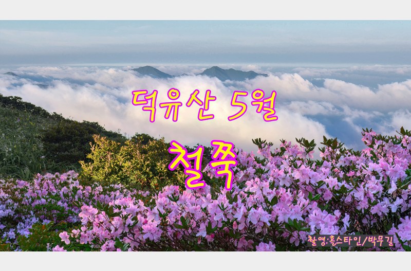 덕유산철쭉-달려보세유--절정
