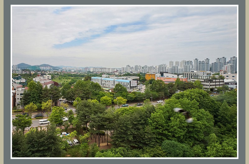 살어저가는나의고향