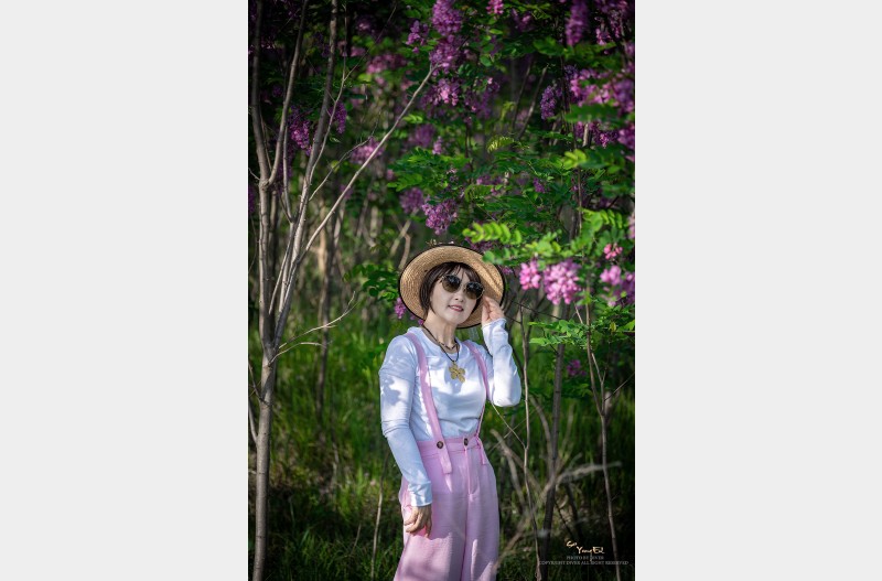 강천섬의 초록물결