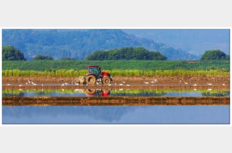 백로와 함께