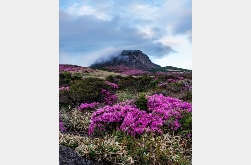 한라산