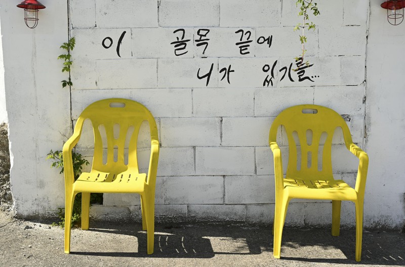 고향담장에