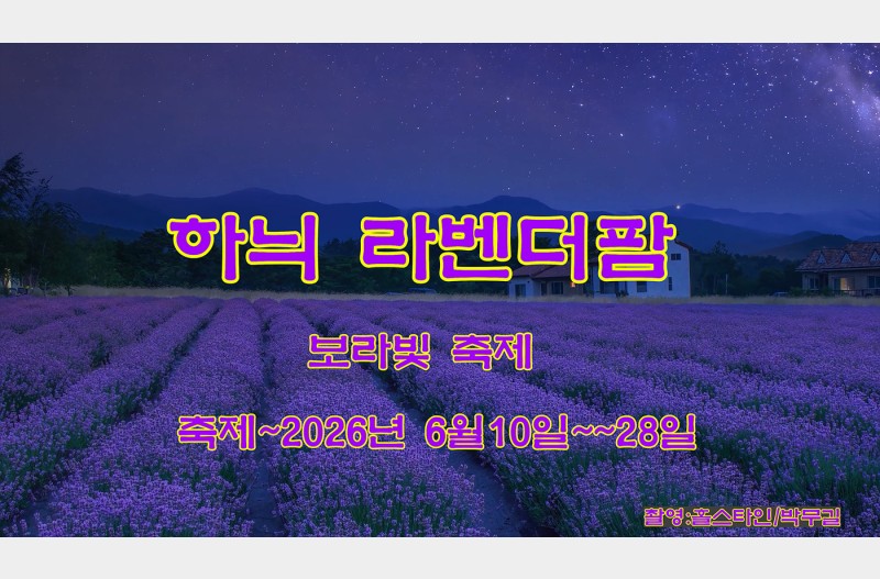 하늬라벤더팜축제~꼭달려보세유