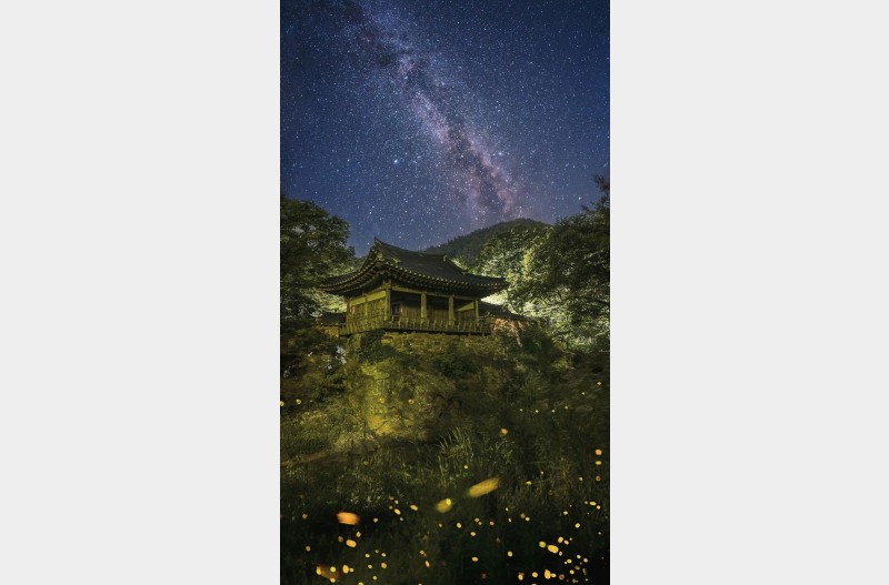 울창한 숲속 정자하나