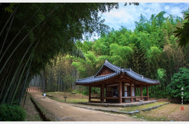 죽녹원