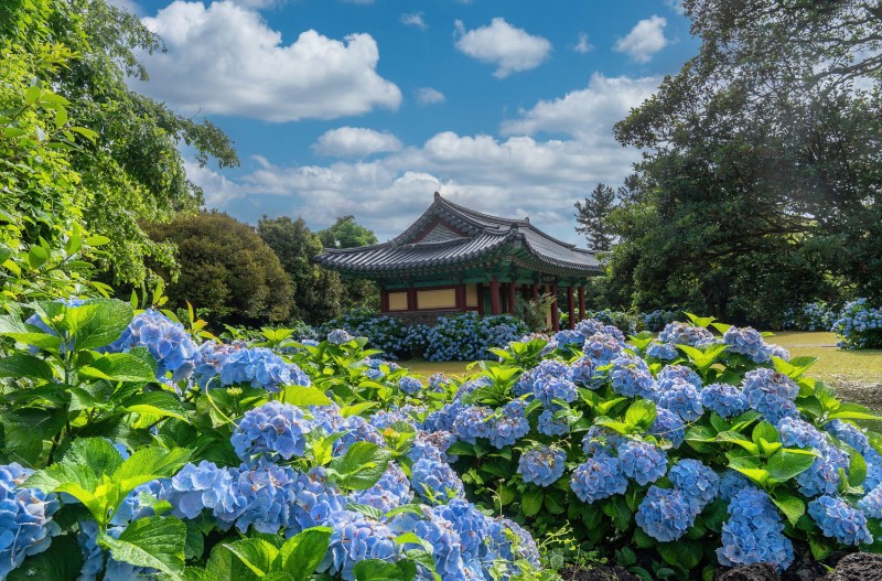 제주도 출사여행