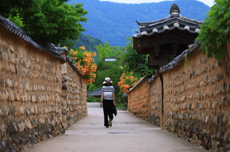 능소화 연정