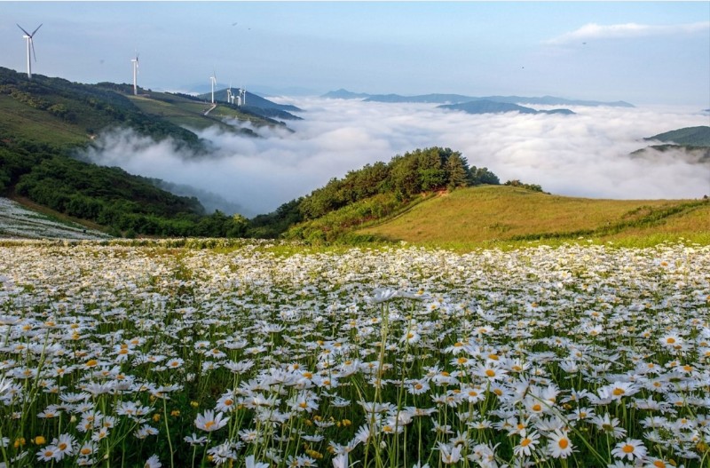청옥산-2