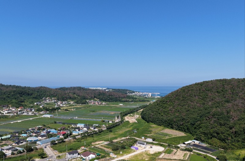 고향