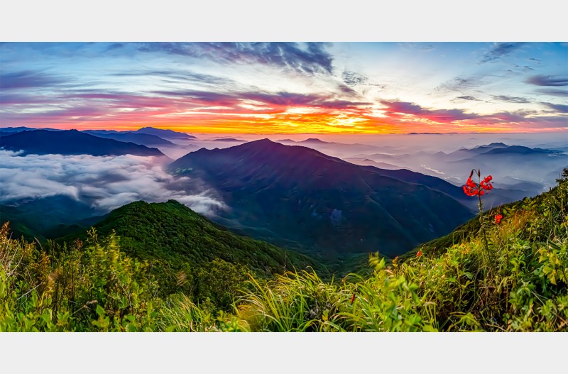 오도산2