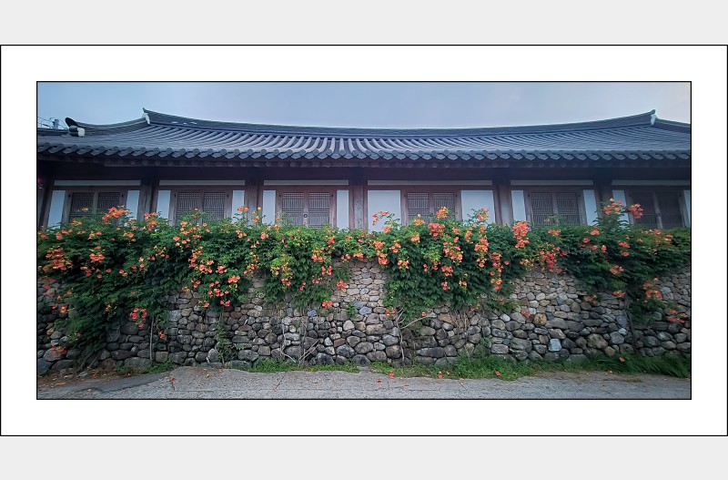 고사정의 여름..