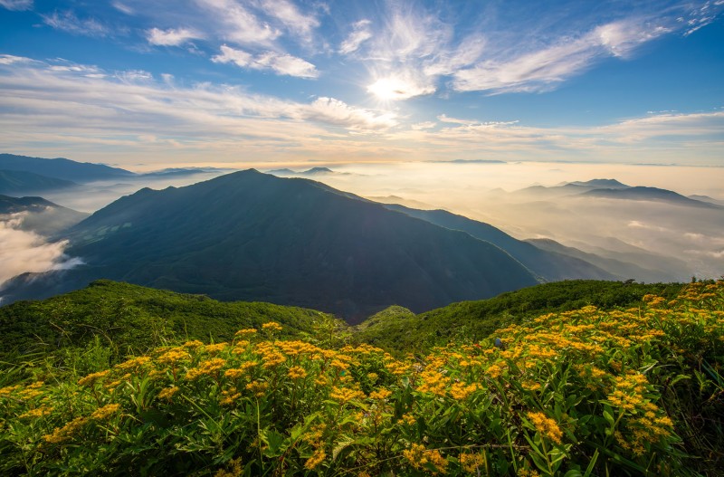 6월의 산정