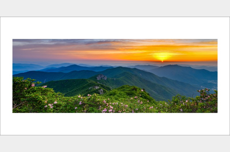 가지산 철쭉