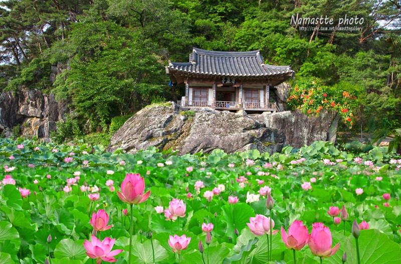주암정