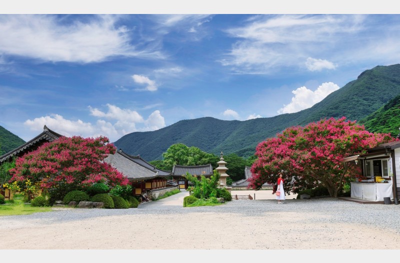 산사의 여름날