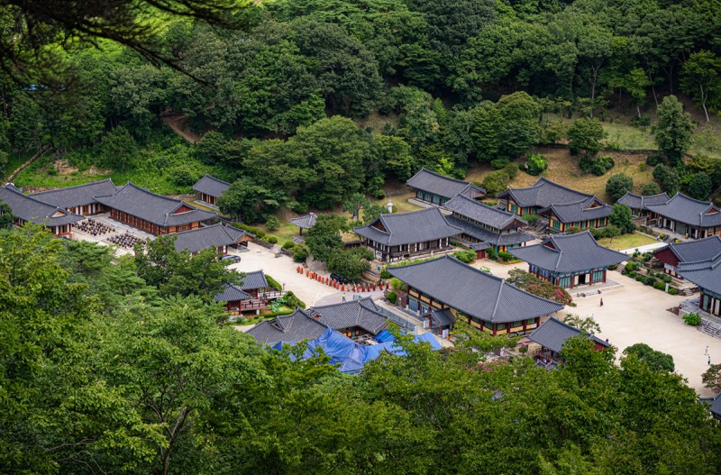 여름날의 송광사