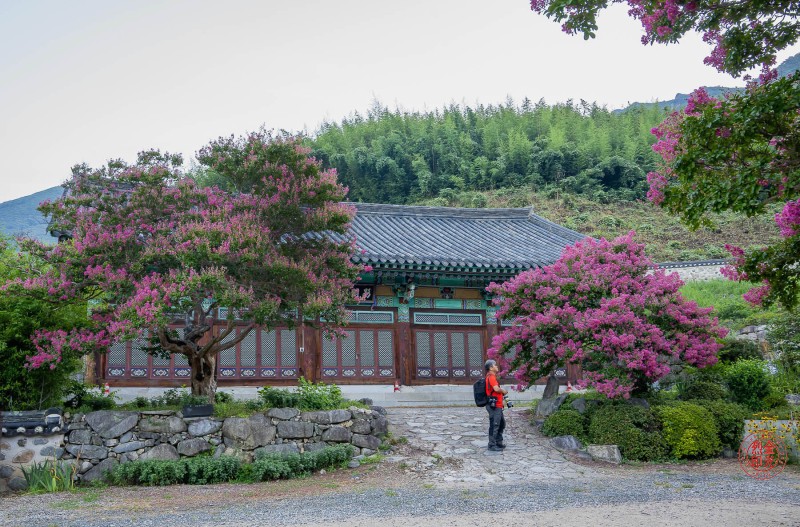 표충사