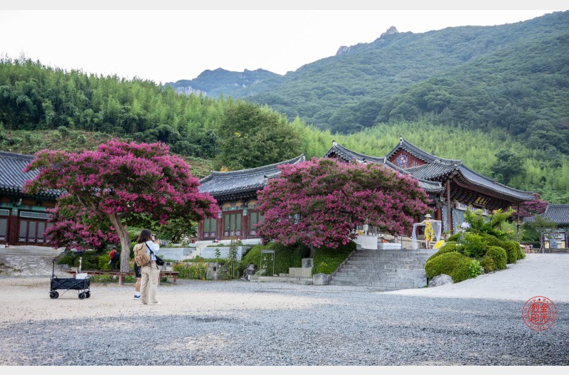 표충사