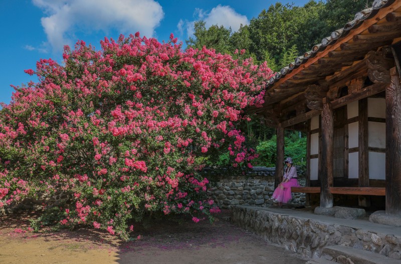 김천 충효당