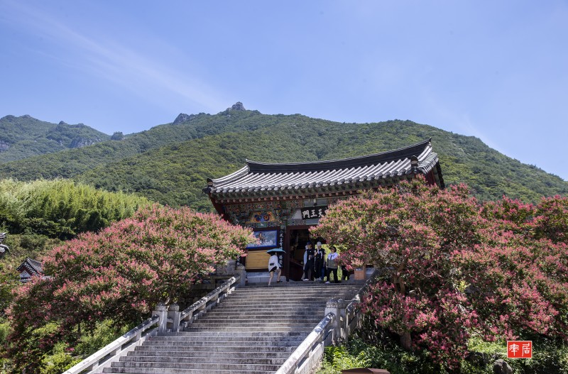 표충사