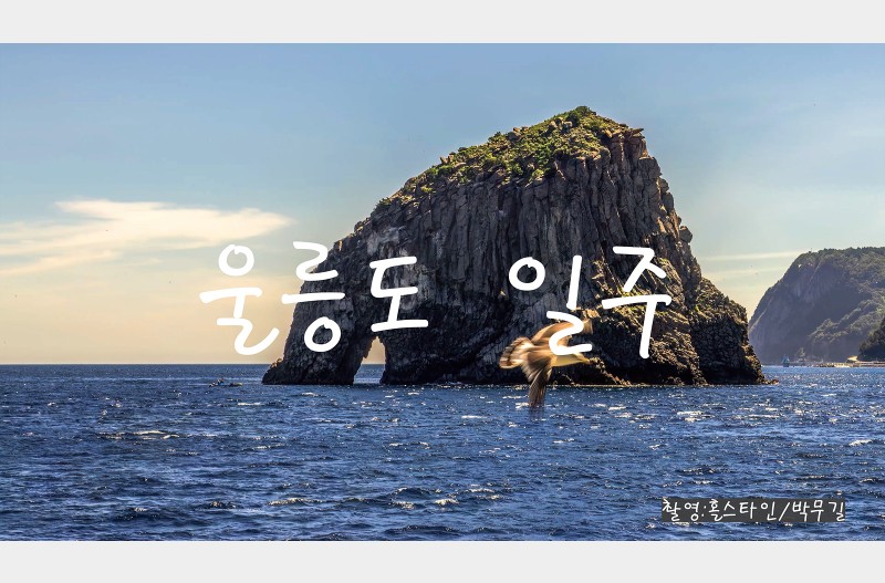 울릉도일주