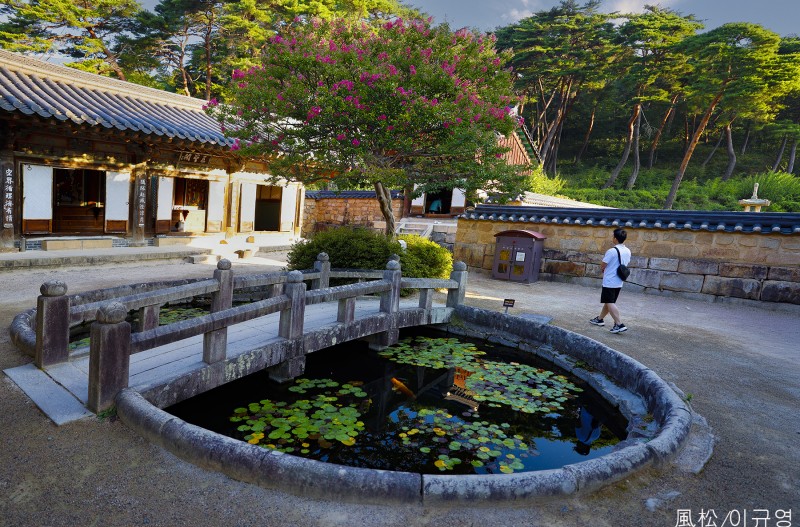 구룡지