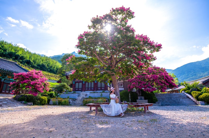 여름 산사