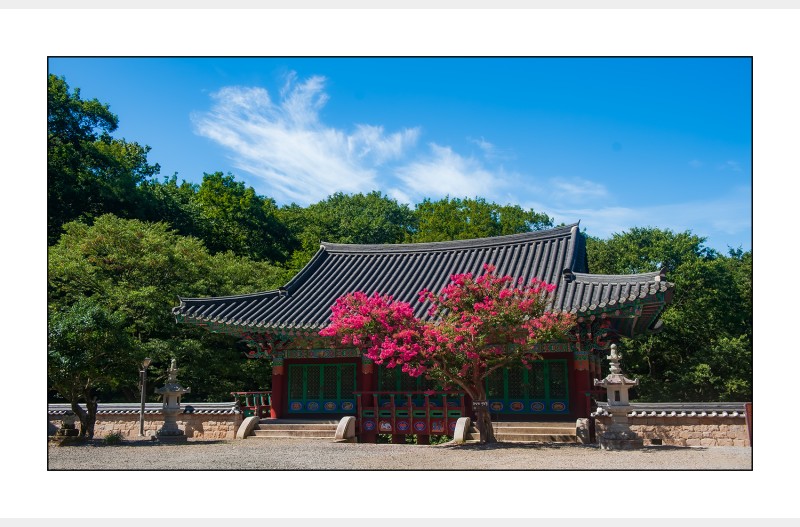 암자의 여름..