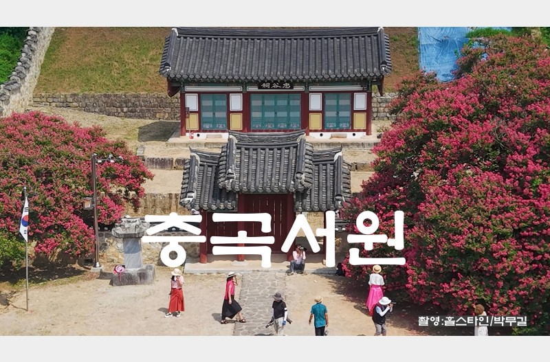 충곡서원배롱나무