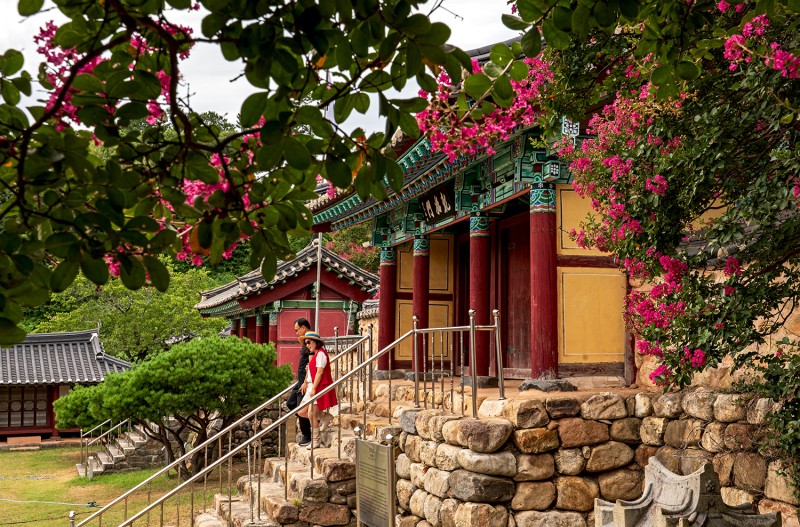 베롱꽃
