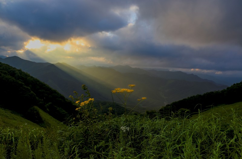 민둥산