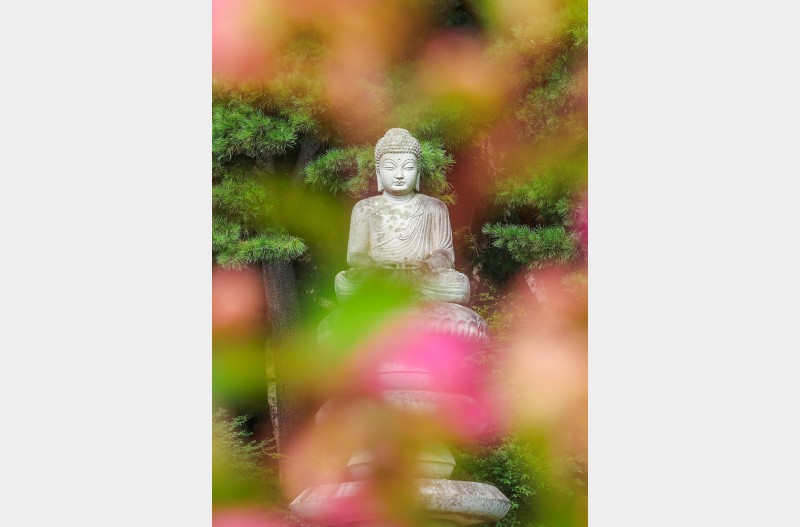 서출지