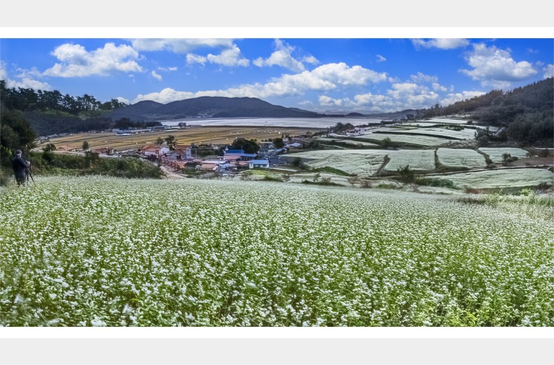 선학동풍경