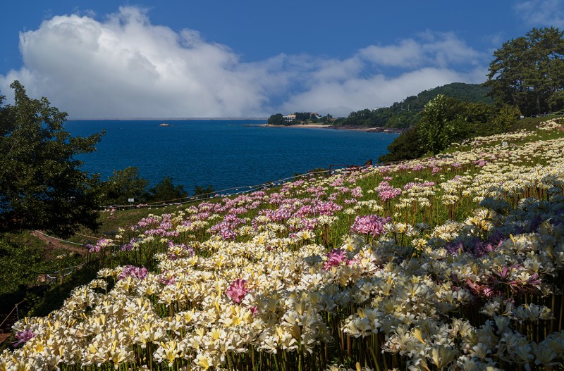 변산마실길 송포항코스